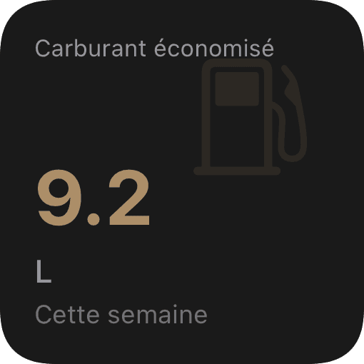 Carburant économisé (dark)
