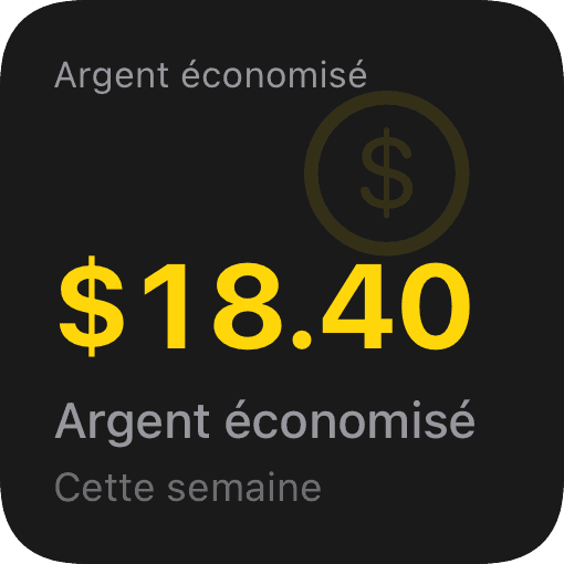 Argent économisé (dark)