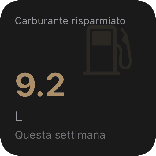 Carburante risparmiato (dark)