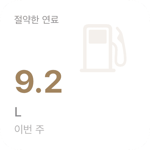 절약한 연료 (light)