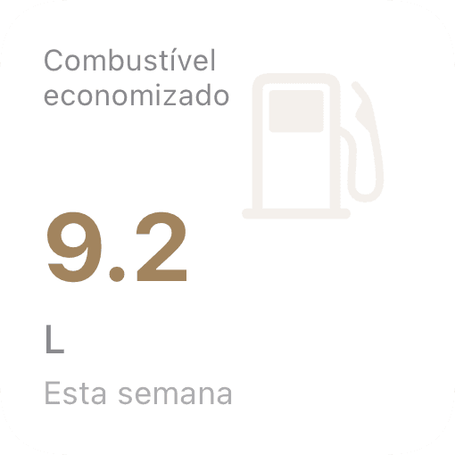 Combustível economizado (light)