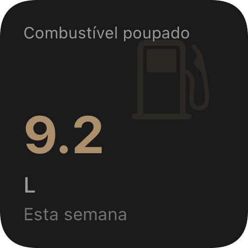 Combustível poupado (dark)