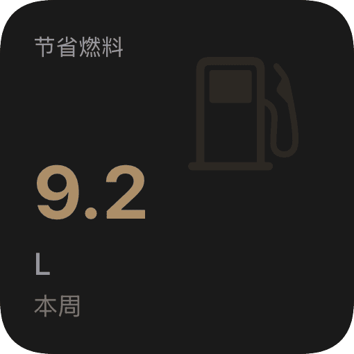 节省燃油 (dark)
