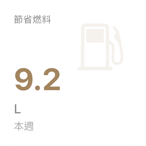 節省油費 (light)