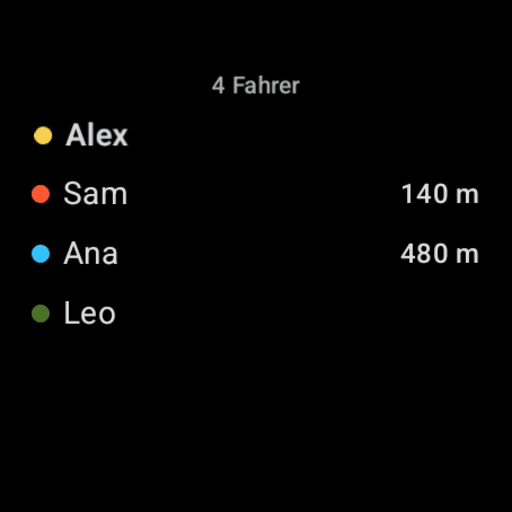 Wear OS: who's riding — the participants list