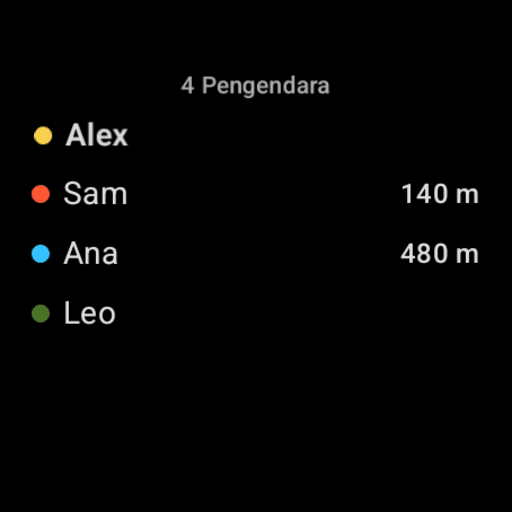 Wear OS: who's riding — the participants list