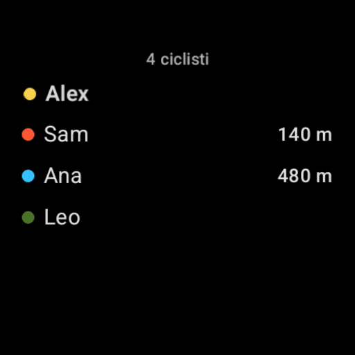 Wear OS: who's riding — the participants list