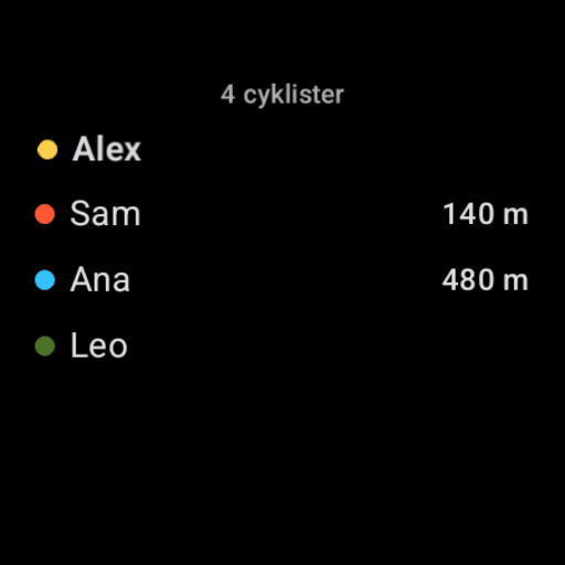 Wear OS: who's riding — the participants list